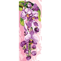 canevas seg orchidee 25x60 cm