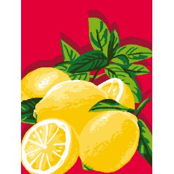 kit canevas enfant 2530 citrons