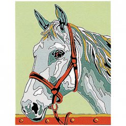 kit canevas cheval 20x25cm