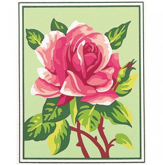 kit canevas rose 20x25cm