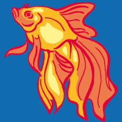 Kit canevas Soudan Golden Fish 25x25 cm