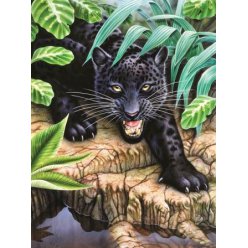 diamond painting 40x30  black panther