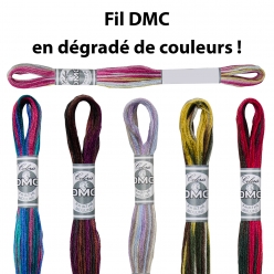 Fil Mouliné DMC Broderie et Point de Croix Coloris 8M