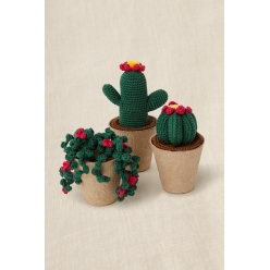 kit crochet gift of stitch collection de cactus