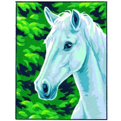kit canevas blanc cheval blanc 20x25cm