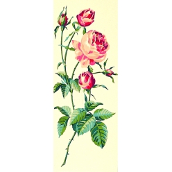 canevas antique rose 25x60cm